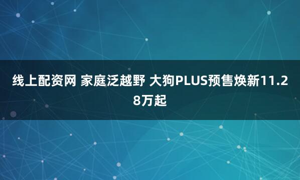 线上配资网 家庭泛越野 大狗PLUS预售焕新11.28万起