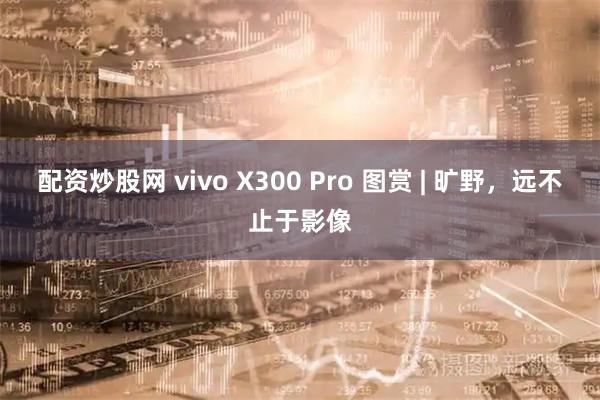 配资炒股网 vivo X300 Pro 图赏 | 旷野，远不止于影像