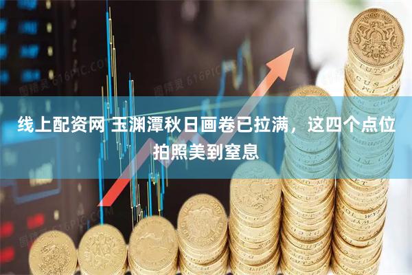 线上配资网 玉渊潭秋日画卷已拉满，这四个点位拍照美到窒息