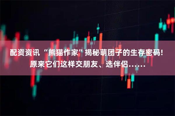 配资资讯 “熊猫作家”揭秘萌团子的生存密码! 原来它们这样交朋友、选伴侣……