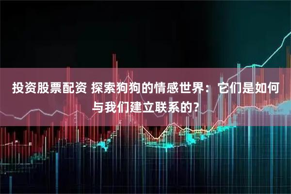 投资股票配资 探索狗狗的情感世界：它们是如何与我们建立联系的？