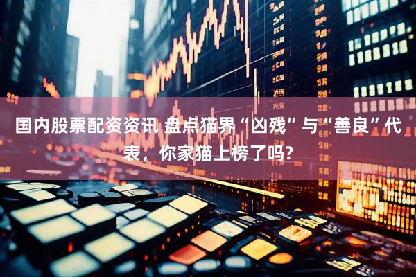 国内股票配资资讯 盘点猫界“凶残”与“善良”代表，你家猫上榜了吗?