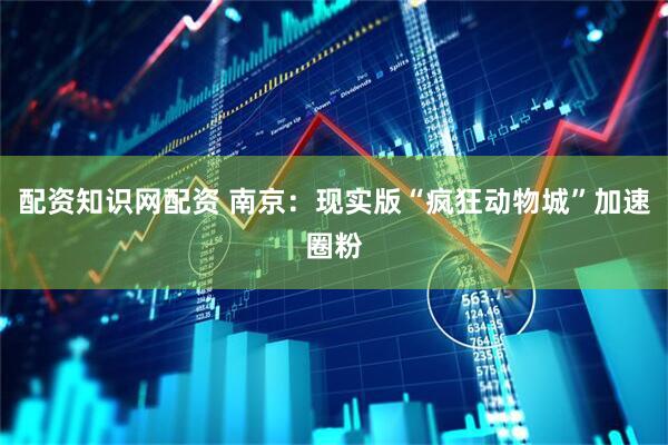 配资知识网配资 南京：现实版“疯狂动物城”加速圈粉
