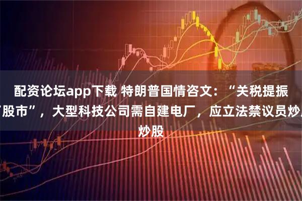 配资论坛app下载 特朗普国情咨文：“关税提振了股市”，大型科技公司需自建电厂，应立法禁议员炒股