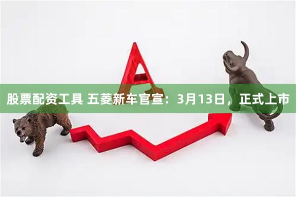 股票配资工具 五菱新车官宣：3月13日，正式上市