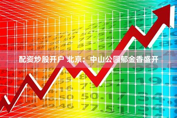 配资炒股开户 北京：中山公园郁金香盛开