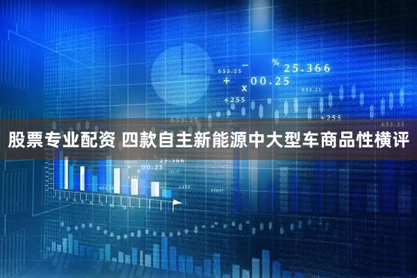 股票专业配资 四款自主新能源中大型车商品性横评